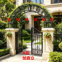 Stainless Steel Garden Arch Trellis for Climbing Plants, Villa Entrance Decor