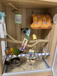 Mishiqi Wooden Parrot Cage for Adult Cockatiels Breeding and Ornamental Birds DIY Landscape Cage