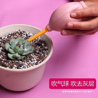 7-Piece Succulent Garden Tool Set with Watering Can and Accessories