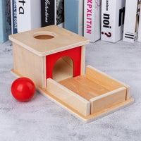 Montessori Wooden Coin Box and Ball Drop Game for Toddlers, Early Education Hand-Eye Coordination Toy