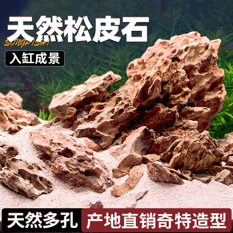 Natural Pine Bark Stone for Aquarium Landscaping and Micro-Landscape Bonsai