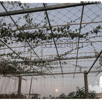Garden Plant Climbing Net for Vines, Gourds, and Fruits - Heavy Duty Trellis Netting