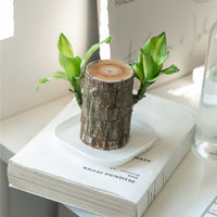 Thickened Plastic Square Drip Tray for Succulent Pots