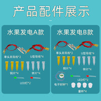 Fruit Battery Science Experiment Kit with Zinc and Copper Electrodes
