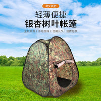 Foldable Kids Indoor Outdoor Play Tent