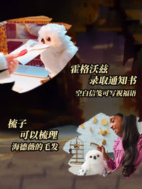 Spin Master Harry Potter Interactive Plush Toys - Hedwig, Dobby, Sorting Hat, Pygmy Puff