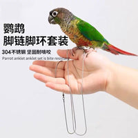 Parrot Stainless Steel Ankle Chain Leash for Small to Medium Birds - Outdoor Training and Walking Harness