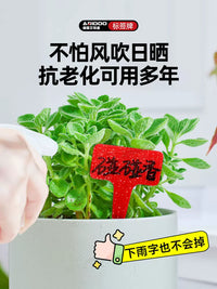 Waterproof Plastic Plant Labels for Gardening and Potted Plants