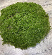 Artificial Moss Blocks for Landscaping and Decoration, Flexible and Stretchable