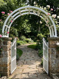 European Iron Archway Garden Trellis for Climbing Plants