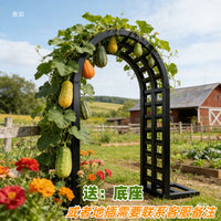 European Style Wrought Iron Arch Trellis for Climbing Plants, Roses, and Vines - Outdoor Garden and Villa Decor