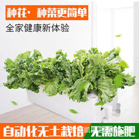 Hydroponic Planter Box Kit for Balcony Vegetable Gardening