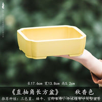 Rectangular Imitation Zisha Resin Planter for Succulents and Bonsai, Thickened Durable Desktop Pot