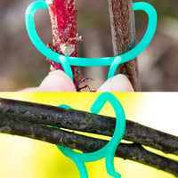 Garden Plant Clips for Vines and Branches - Support and Fixing Clips