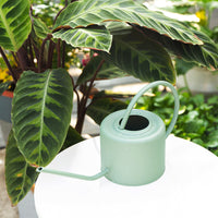 Large Capacity Galvanized Iron Watering Can for Garden & Home Plants