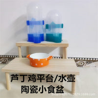 Automatic Bird Feeder and Water Dispenser for Parrots and Small Birds, Hanging Design