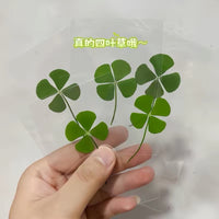 Lucky Four-Leaf Clover Transparent Card Bookmark