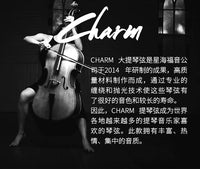 Charm Cello String Set for 4/4, 3/4, 1/2, 1/4 Cellos - Professional Practice & Performance G String
