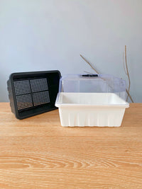Mini Seedling Trays with Lids for Succulents and Lithops, Thickened Plastic Propagation Planter