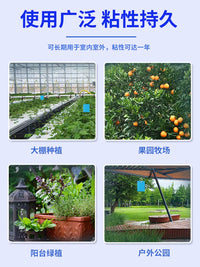 Sticky Insect Traps for Flying Pests - Yellow Double-Sided Glue Boards for Greenhouse & Orchard