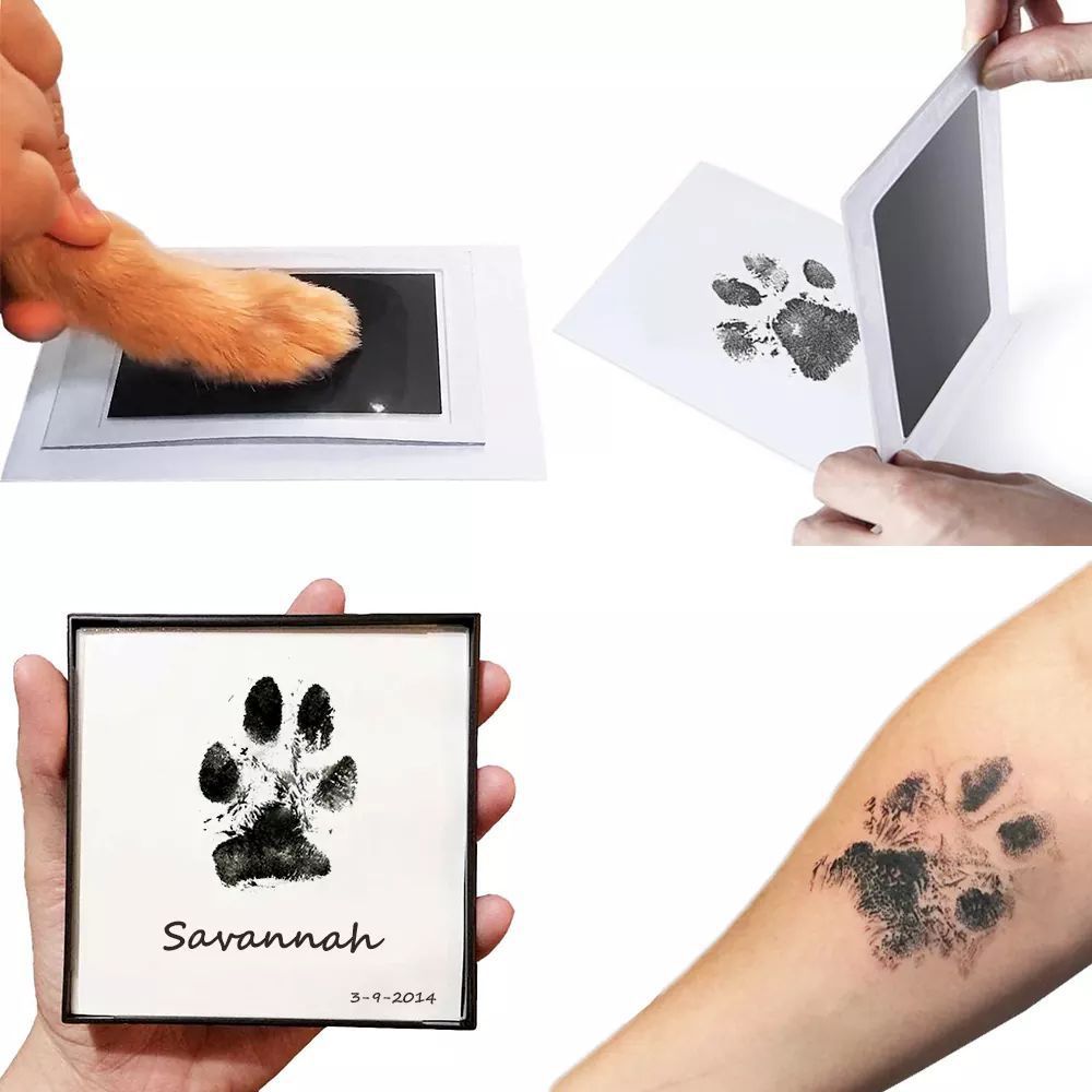 No-Wash Paw Print Kit for Pets, DIY Keepsake Photo Album & Postcard, Pet Memorial Gift