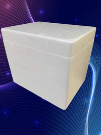 Insulated Foam Cooler Box for Medical Transport and Cold Chain Storage