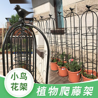 Outdoor Metal Rose Climbing Trellis for Potted Plants