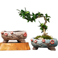 Large Caliber Breathable Ceramic Succulent Planter Pot for Balcony & Old Stumps