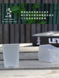 Clear Thickened Plastic Succulent Planter Pots for Seed Starting and Root Control