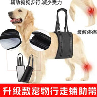 Breathable Mesh Pet Dog Walking Aid Harness for Injured & Elderly Dogs