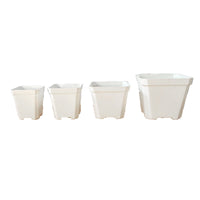 Clear Octagonal Thickened Plastic Succulent Planter Seedling Pot