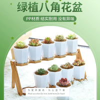 Thickened Octagonal Plastic Succulent Planter Pots for Home Gardening and Seedling Propagation