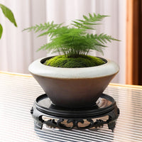 Moss Ball Planter Ceramic Hydroponic Pot for Bamboo and Office Decor