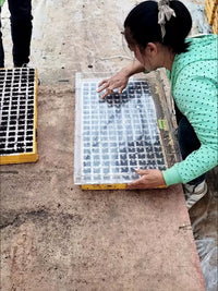 Stainless Steel Seedling Tray Dibbler for Planting