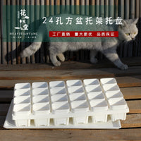24-Cell Plastic Square Pot Tray for Succulents, Seedlings, and Cuttings, Compatible with Drip Trays