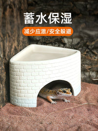 Reptile Hideout and Humidifying Cave for Lizards, Spiders, and Snakes