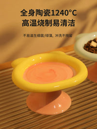 Ceramic Cat Bowl Set with Raised Stand for Food and Water, Anti-Vomit Pet Feeder Dish