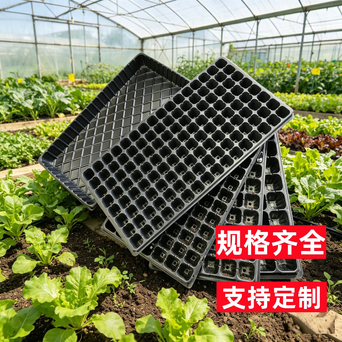 Seedling Starter Trays with Drainage Holes and Drip Trays for Germination and Plant Propagation