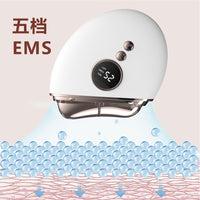 EMS Microcurrent Facial Massager & Body Scraper with Constant Temperature and Photon Therapy