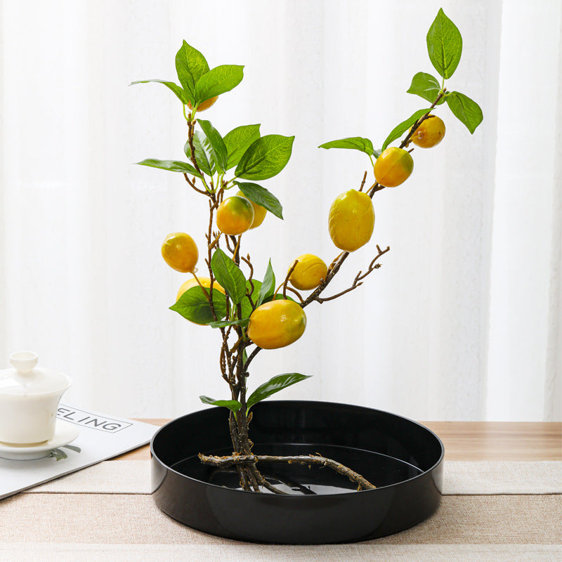 Round Kenzan Ikebana Flower Holder for Floral Arrangements