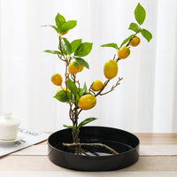 Round Kenzan Ikebana Flower Holder for Floral Arrangements