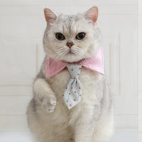 Pet Cat Dog Bow Tie Collar with Adjustable Necktie for Small to Medium Breeds