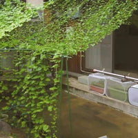 Heavy-Duty Trellis Netting for Climbing Plants, Fruits, and Vegetables - Garden and Farm Use