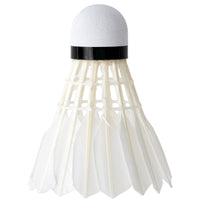 Deli Angnet F2200 Luminous Badminton Shuttlecocks White Glow-in-the-Dark for Competition Training