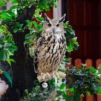 Hanging Owl and Eagle Garden Ornaments with Bells and Ribbons