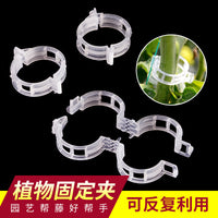 Garden Plant Clips for Vines and Branches - Support and Fixing Clips