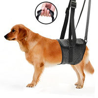 Dog Rear Leg Support Harness for Injured or Elderly Dogs