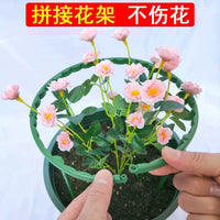 Modular Plant Climbing Trellis for Indoor Outdoor Potted Plants