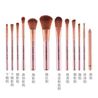 Sivanna Colors 12-Piece Makeup Brush Set for Beginners