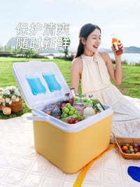 Portable Insulated Cooler Box with Ice Packs for Outdoor Camping Fishing Car Travel